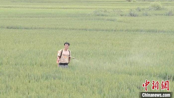 水灾过后 &ldquo;稻城&rdquo;舒兰全力&ldquo;洪口抢粮&rdquo;