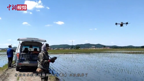 水灾过后 &ldquo;稻城&rdquo;舒兰全力&ldquo;洪口抢粮&rdquo;