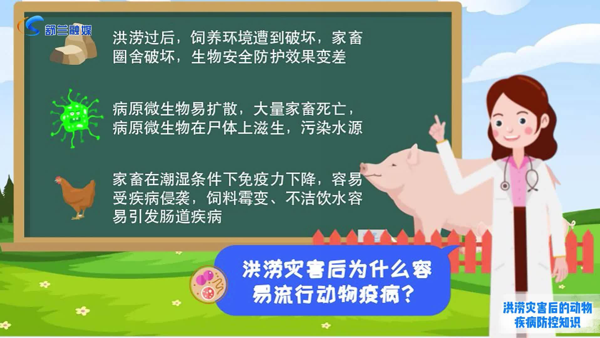 洪涝灾害后的动物疾病防控知识