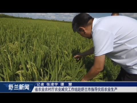 吉林省农业农村厅农业减灾工作组赴舒兰市指导灾后农业生产