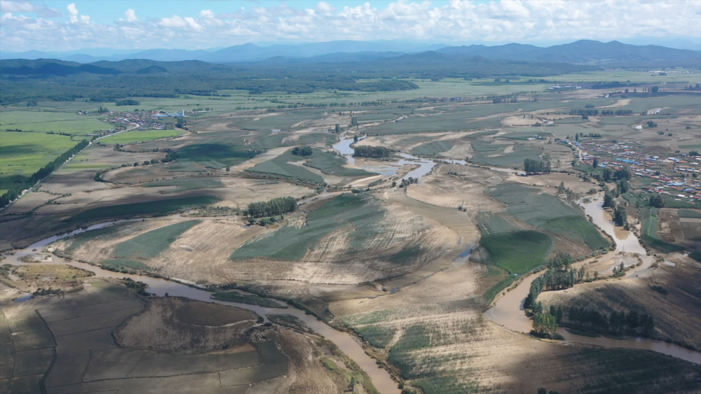 吉林舒兰全力开展农业减灾救灾工作