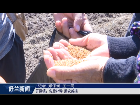舒兰市开原镇：灾后补种 助农减损