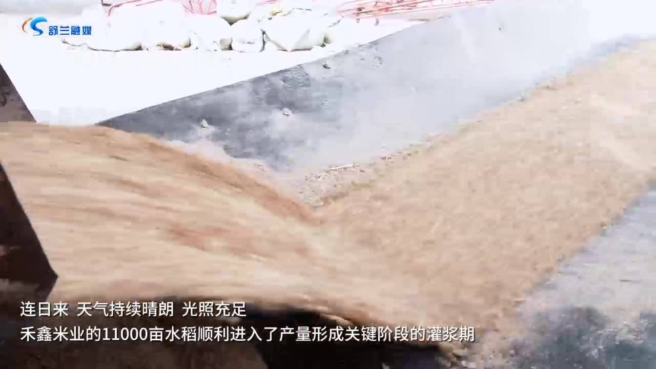 舒兰市吉林大米十大特优企业探访——禾鑫谷物公司