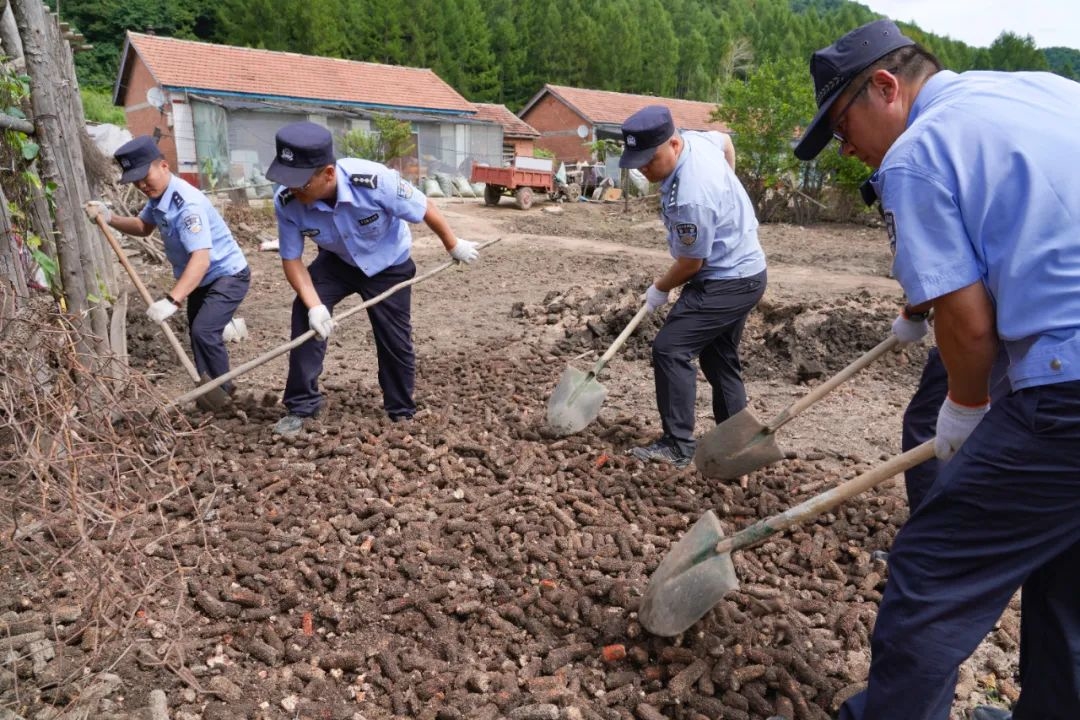 舒兰市新安乡开展大规模抗灾自救攻坚行动
