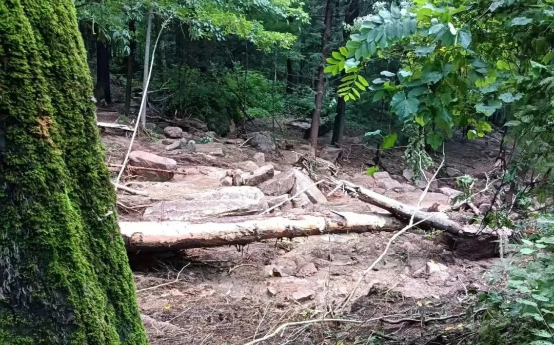 吉林世一参业积极开展灾后自救