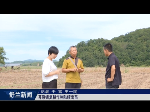 舒兰市开原镇复耕作物陆续出苗