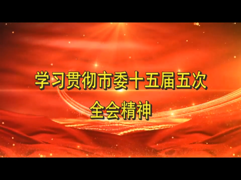 学习贯彻市委十五届五次全会精神丨中共舒兰市委十五届五次全会在全市干部群众中引发热烈反响（三）