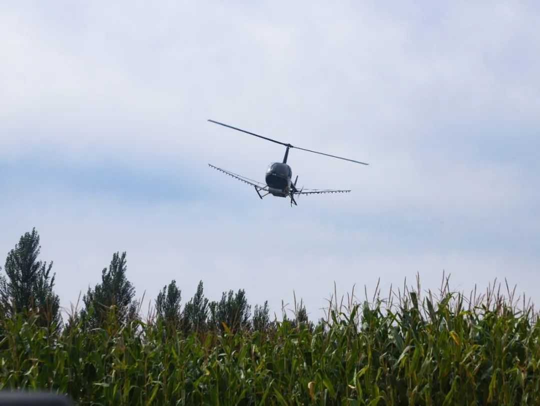 丰收舒兰丨舒兰市开展&ldquo;一喷多促&rdquo;飞防作业保障粮食稳产增收