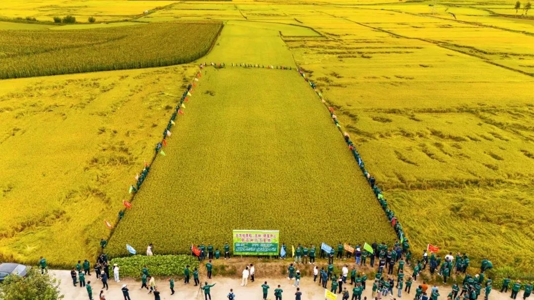 舒兰市职业高中与北方优质稻（吉林）研发中心举办校企合作启动仪式