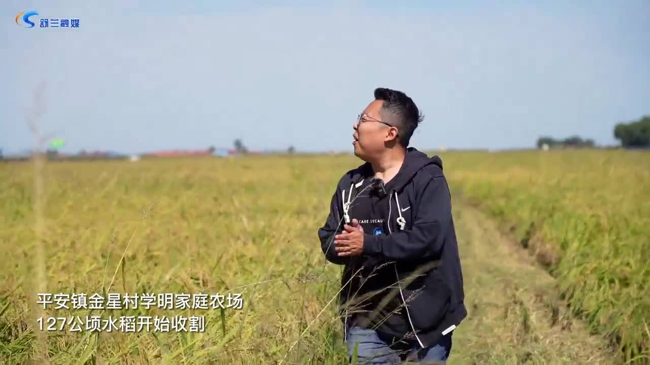 小胖老亮丨丰收的喜悦
