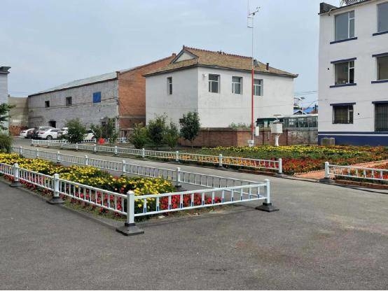 爱国卫生运动丨舒兰市金马镇：开展灾后卫生整治 美化乡村环境