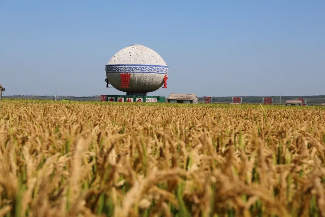 重磅！2023&ldquo;人间烟火气 舒兰好大米&rdquo;原创短视频大赛开始啦！