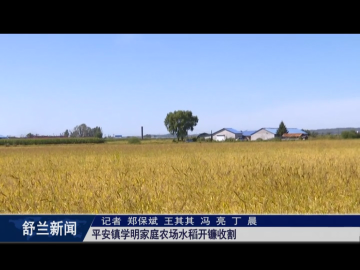 丰收舒兰丨舒兰市平安镇学明家庭农场水稻开镰收割