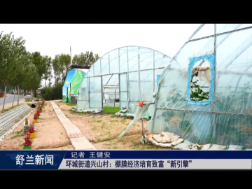 乡村振兴&middot;筑梦舒兰丨舒兰市环城街道兴山村：棚膜经济培育致富&ldquo;新引擎&rdquo;