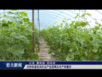 丰收舒兰丨舒兰市吉舒街道宏润农业产业园黄瓜丰产销量好