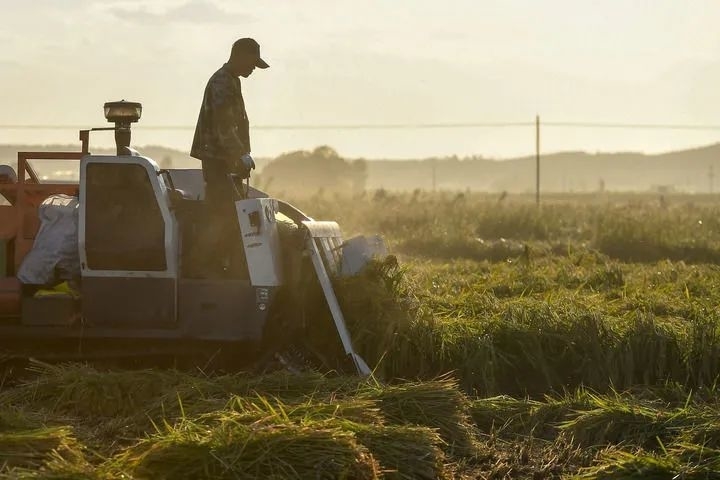 新华社丨农机入田 农技下乡&mdash;&mdash;吉林力争当好国家粮食稳产保供&ldquo;压舱石&rdquo;