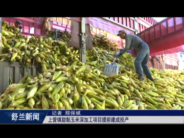 乡村振兴&middot;筑梦舒兰丨舒兰市上营镇甜黏玉米深加工项目提前建成投产
