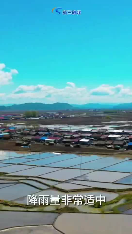 中国科学院东北地理与农业生态研究所 正高级工程师 刘胜群谈舒兰大米品质