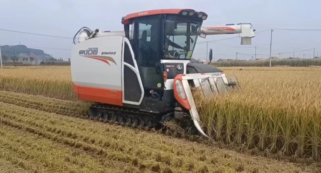 丰收舒兰丨舒兰市水曲柳镇水稻收割迎丰收