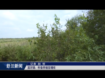 丰收舒兰丨舒兰市溪河镇：柞蚕养殖促增收