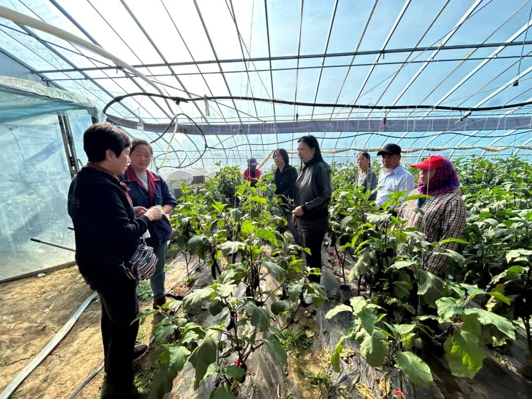 吉林市妇联&ldquo;巾帼科技助农直通车&rdquo;走进舒兰