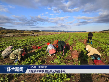 万众一心 重建家园&middot;开原篇丨舒兰市开原镇补种秋菜陆续成熟迎丰收