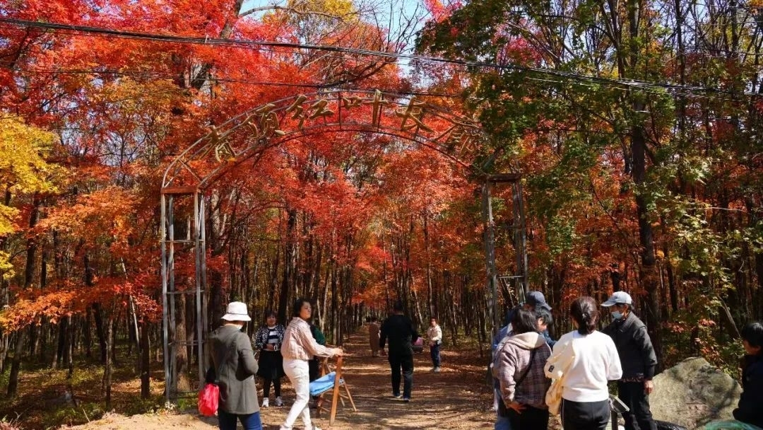 舒兰市新安乡红叶长廊迎来今年&ldquo;正红时&rdquo;