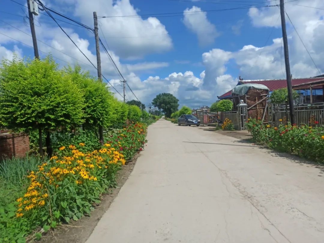 人居环境整治丨舒兰市人居环境整治取得实效