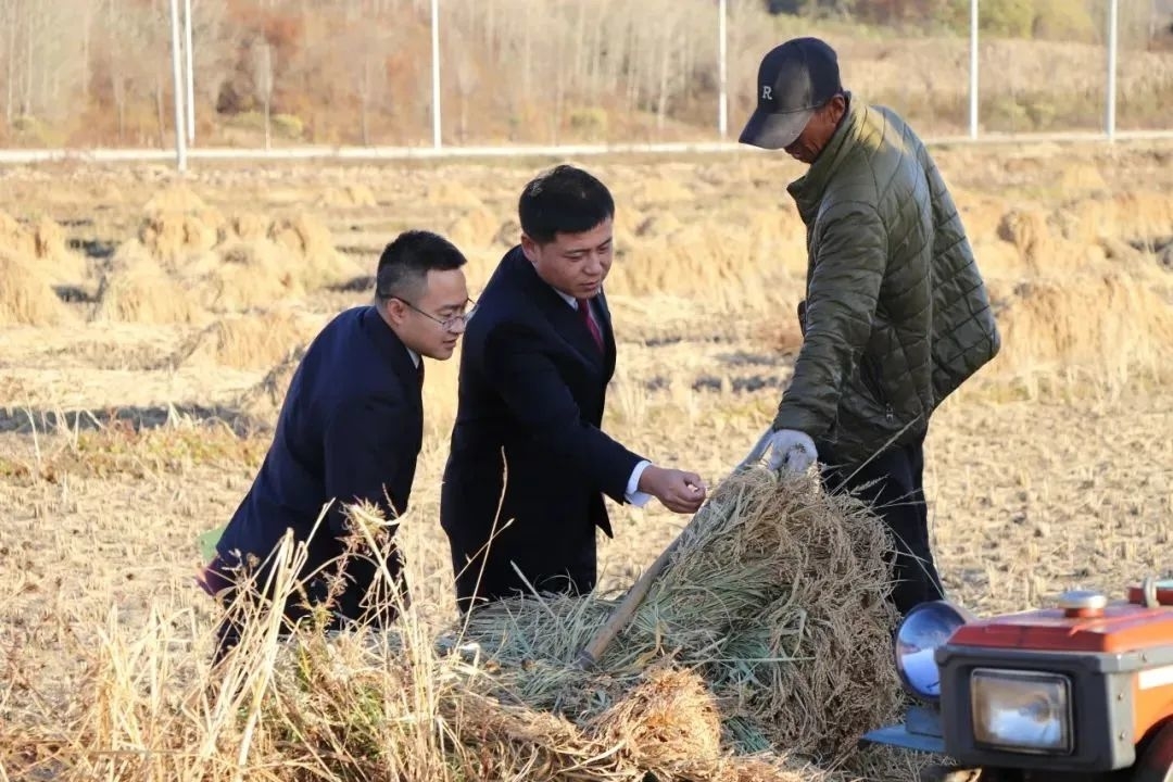 舒兰市人民检察院：护航粮食安全 保障农民权益