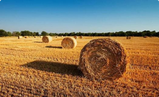 秸秆禁烧小常识