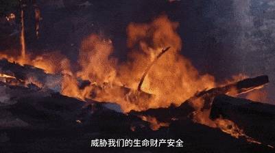 公益宣传片｜严防森林草原火灾 守护我们的绿水青山