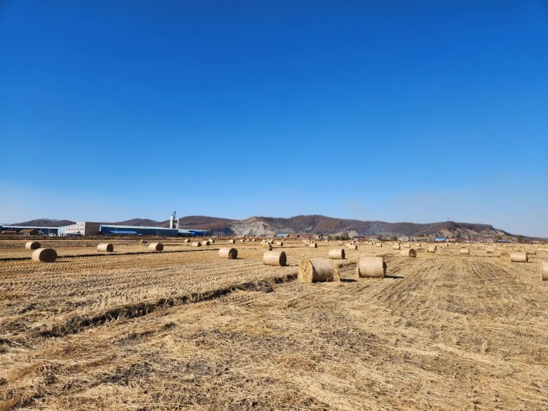 乡村振兴&middot;筑梦舒兰丨舒兰市水曲柳镇积极推进秸秆离田工作