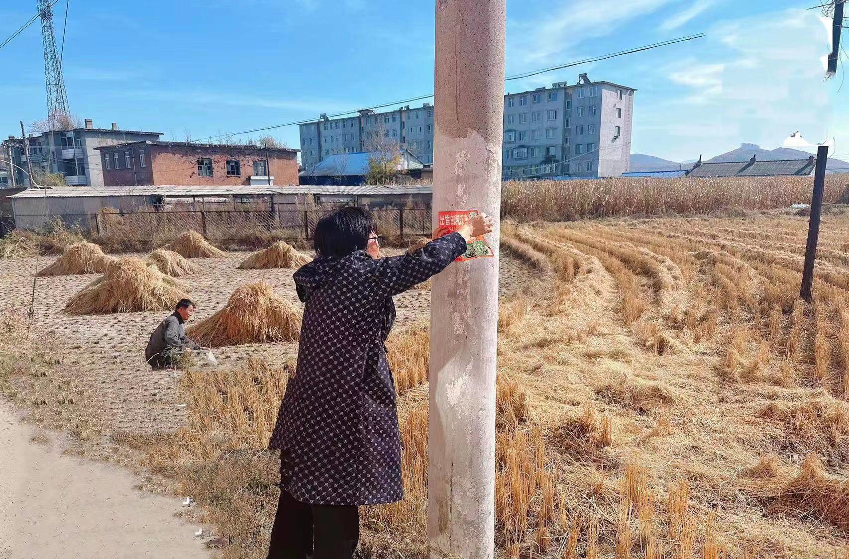 创城进行时丨舒兰市上营镇开展&ldquo;野广告&rdquo;专项清理活动