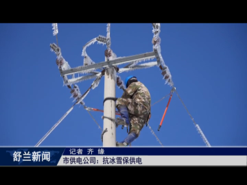 舒兰市供电公司：抗冰雪保供电