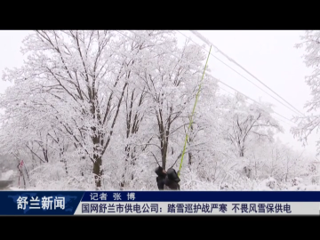 筑牢安全防线丨国网舒兰市供电公司：踏雪巡护战严寒 不畏风雪保供电