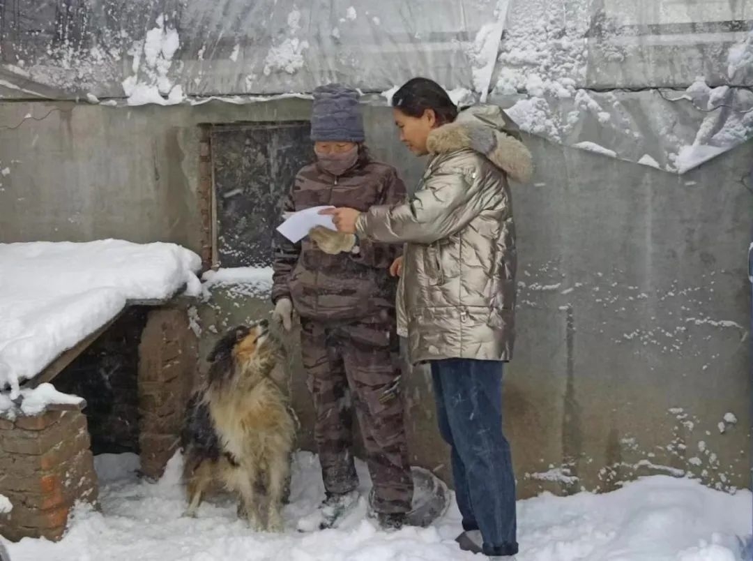 创城进行时丨舒兰市环城街道开展文明养犬宣传活动