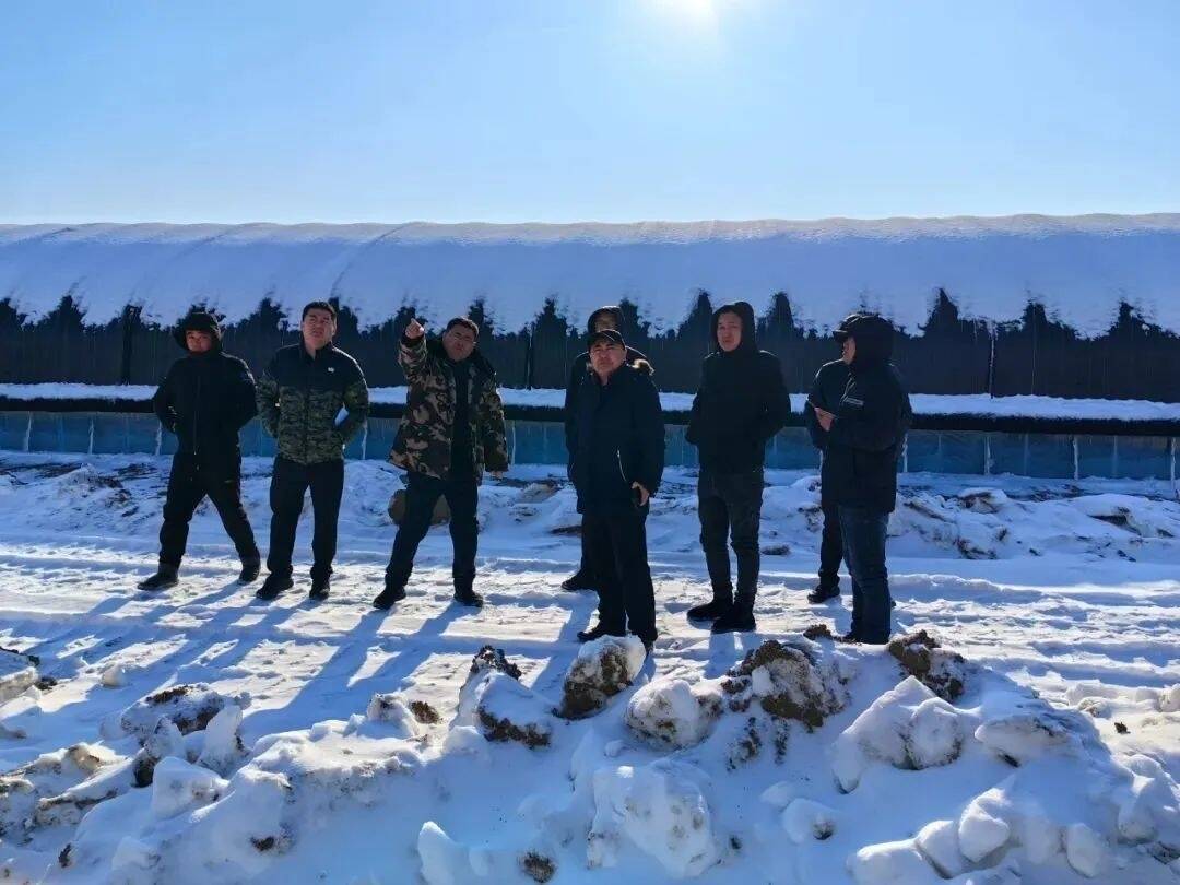 项目建设进行时丨舒兰市城投公司推动全季节种鹅项目稳步发展