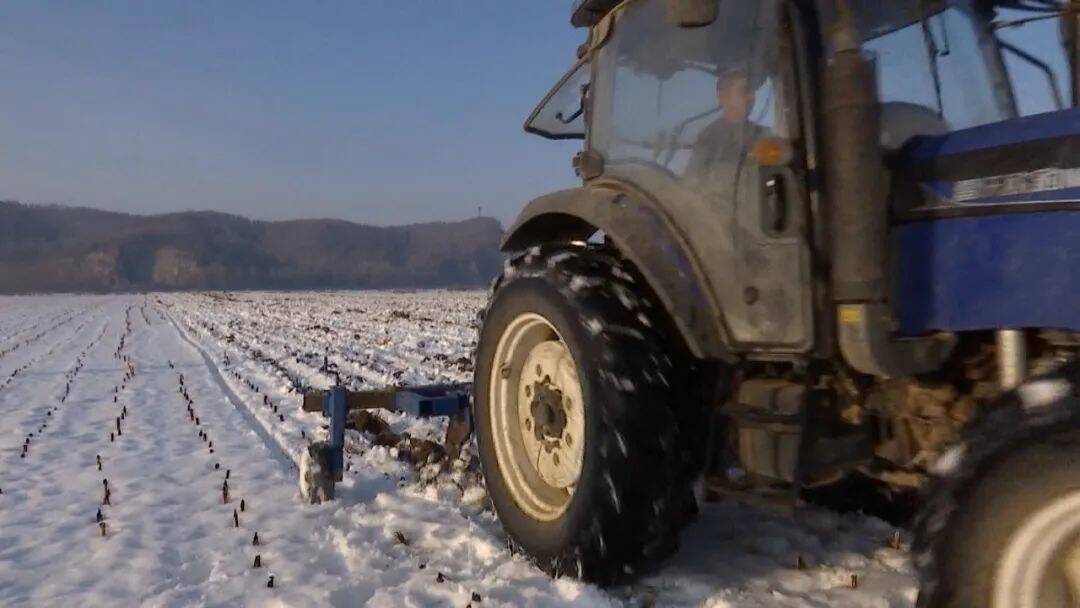 乡村振兴&middot;筑梦舒兰丨舒兰市农业农村局开展土地深松作业 目前已完成6000余亩