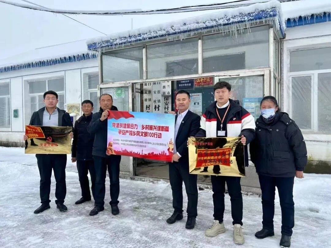 中国平安财产保险股份有限公司吉林中心支公司到舒兰市白旗镇保安村开展助农行动