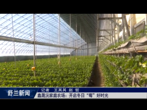 舒兰市鑫晟沅家庭农场：开启冬日&ldquo;莓&rdquo;好时光
