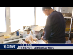 乡村振兴&middot;筑梦舒兰丨舒兰市环城街道兴山村：直播带货助力乡村振兴