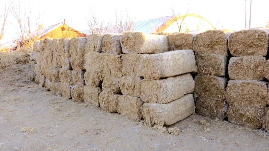 舒兰市水曲柳镇开展冬季秸秆离田和综合利用工作