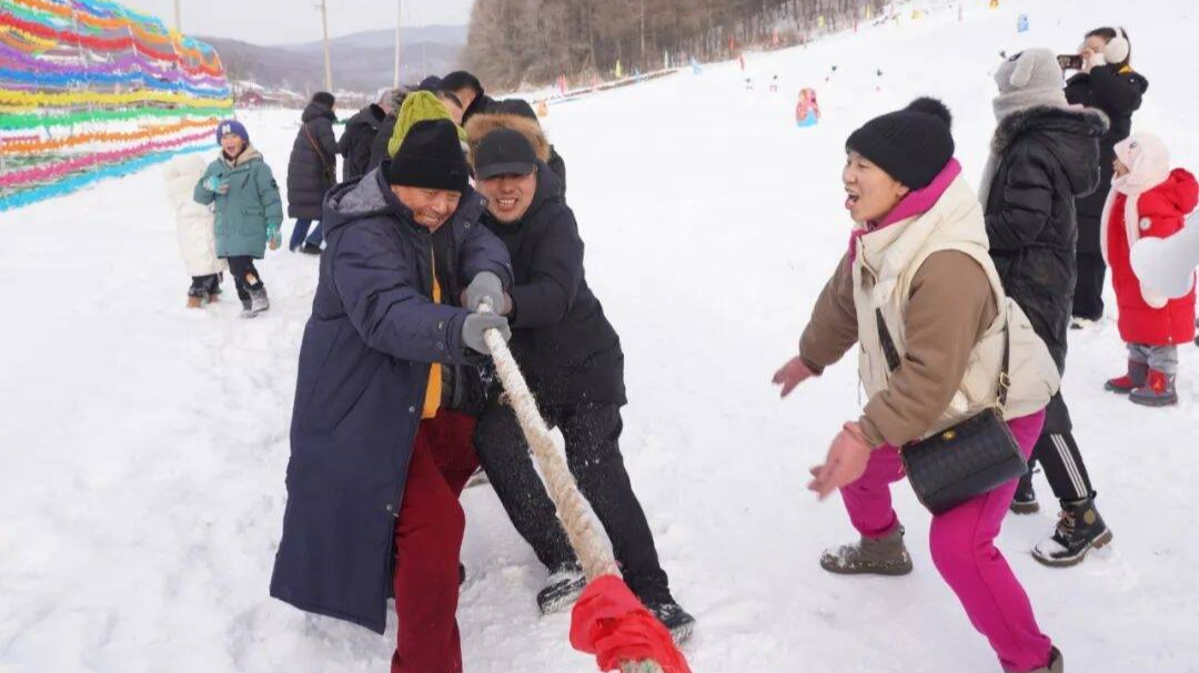 舒兰市文化广播电视和旅游局开展&ldquo;听冰雪的声音，南阳过大年&rdquo;主题党日活动