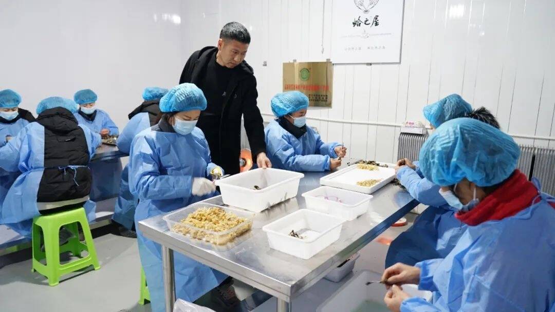 乡村振兴&middot;筑梦舒兰丨冬闲人不闲 蛙户创收忙