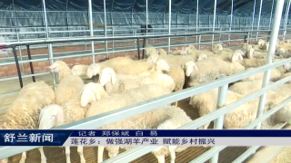 乡村振兴&middot;筑梦舒兰丨舒兰市莲花乡：做强湖羊产业 赋能乡村振兴