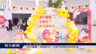 &ldquo;龙行龘龘&middot;全新舒兰&rdquo;元宵节游园会​热闹纷呈