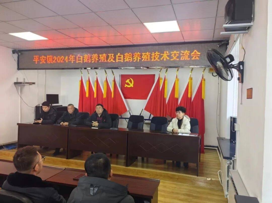 乡村振兴&middot;筑梦舒兰丨舒兰市平安镇提高白鹅养殖专业化水平