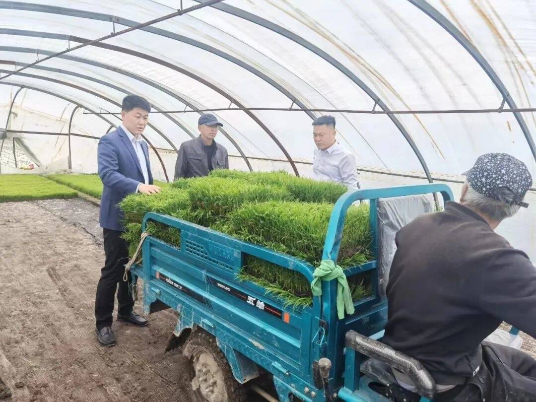 乡村振兴&middot;筑梦舒兰丨舒兰农商银行：聚焦重点产业 助力地方经济高质量发展