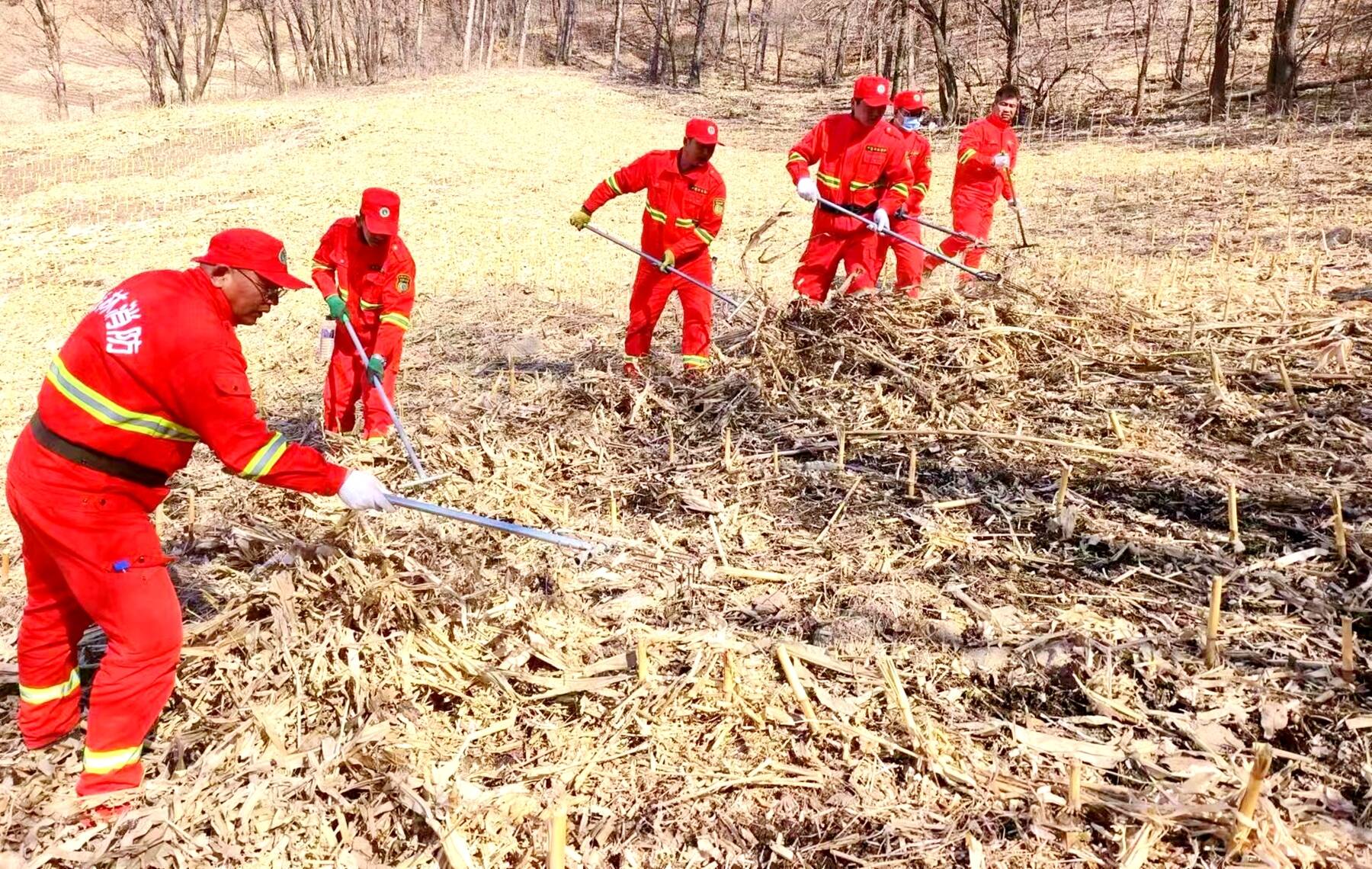 舒兰市小城林场开展清除林缘秸秆专项行动