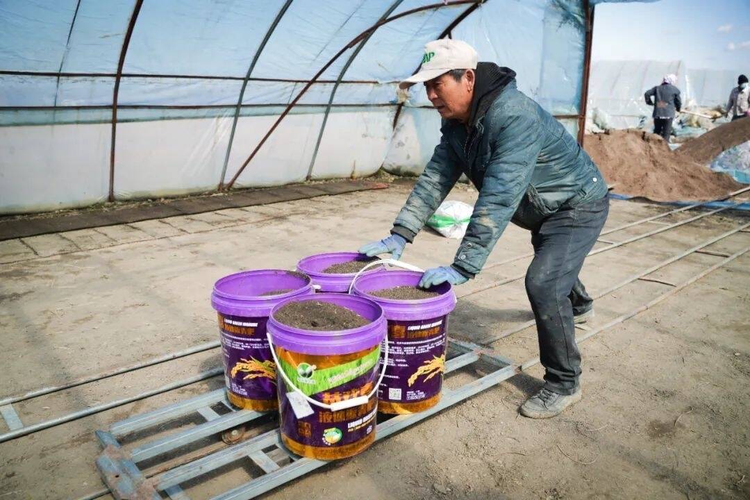 春耕正当时丨舒兰市环城街道水稻育苗工作有序开展